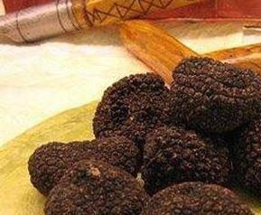 松露的营养价值（松露的营养价值有哪些）