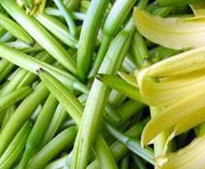 孕妇的饮食禁忌 孕妇的饮食禁忌是怎么产生的