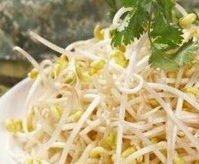 绿豆芽的营养价值（绿豆芽的营养价值与禁忌）