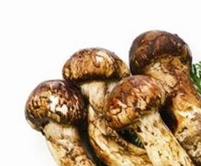 松黄磨枯的药用价值（枯黄是什么中药）