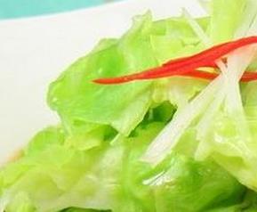 圆白菜的营养价值（圆白菜的营养价值表）