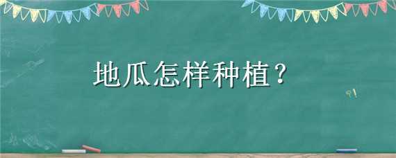 地瓜怎样种植（地瓜怎样种植与管理）