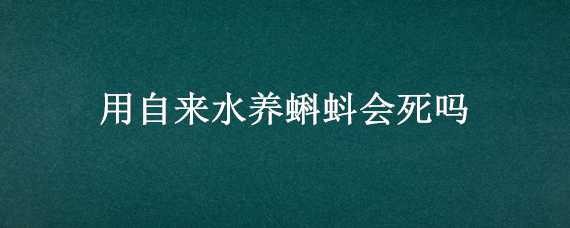 用自来水养蝌蚪会死吗 用自来水养蝌蚪会死吗视频