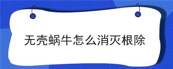 无壳蜗牛怎么消灭根除 无壳蜗牛怎么消灭根除蚂蚁