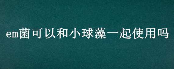 em菌可以和小球藻一起使用吗 EM菌和小球同时使用吗