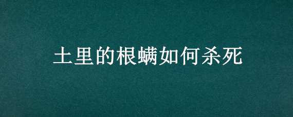 土里的根螨如何杀死 螨虫怎么去根