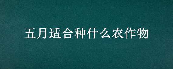 五月适合种什么农作物（五月适合种什么农作物和作物）