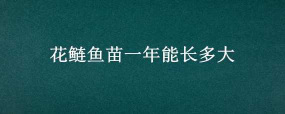 花鲢鱼苗一年能长多大（一年的鲢鱼苗能长多大）