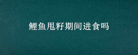 鲤鱼甩籽期间进食吗 鲤鱼在甩籽的时候吃食吗?