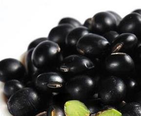青仁黑豆的功效与作用（青仁黑豆的功效与作用点）