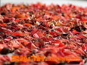 木棉花煲汤怎么做（木棉花煲汤怎么做好喝）