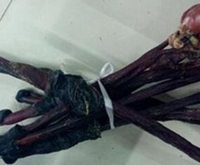 驴肾的药用功效与药用价值（驴肾的药用价值与作用）