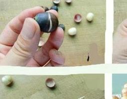 莲子心的功效（莲子心的功效与作用用法）