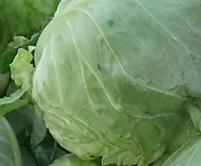 甘兰菜的功效（甘兰菜的功效与禁忌）