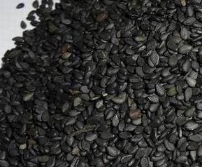 如何挑选黑芝麻 如何挑选黑芝麻糊