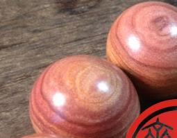 红豆杉的功效与作用（红豆杉的功效与作用及副作用）