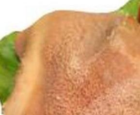 牛肚的营养价值 牛肚的营养价值及功效禁忌