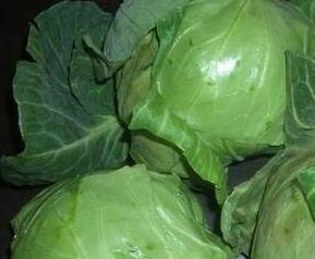 圆包菜的营养价值(圆包菜的营养价值和功效)