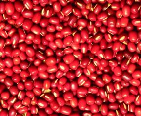 红豆的营养价值与功效（红豆的营养价值功效与作用）