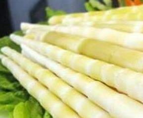 方竹笋的食疗功效与用法（方竹笋有哪些吃法）