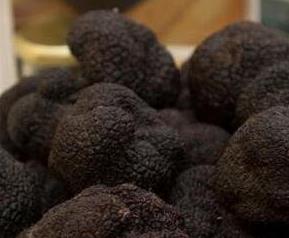 松露是什么（松露是什么味道?闻起来、吃起来是什么感觉?）