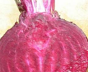 紫菜头是什么 紫菜头是什么颜色的