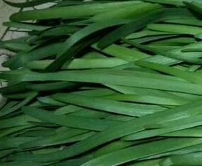 吃韭菜的好处和坏处（冬天吃韭菜的好处和坏处）