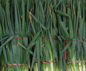 大葱的营养价值（大葱的营养价值及功效与作用）