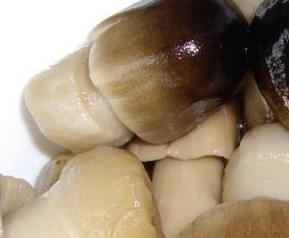 草茹与什么不可以一起吃 草菇不能与什么一起吃