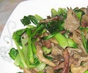 油菜蘑菇的功效和作用 油菜蘑菇的功效和作用是什么