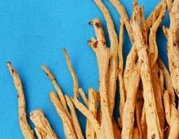 党参的功效与作用 党参的功效与作用党参怎么吃