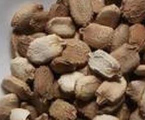 苦瓜子能吃吗（苦瓜子能吃吗吃了有什么效果）