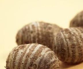 荢头和什么不能一起吃（蕌头不能跟什么一起吃）