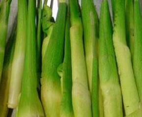 茭白的食用禁忌（茭白的食用禁忌和副作用）