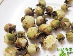 雪莲花的功效 雪莲花的功效与作用图片