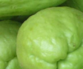 盘龙乳瓜的营养价值 乳瓜营养价值及功效