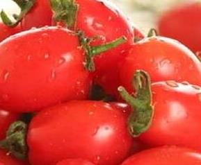 圣女果的功效与作用(圣女果的功效与作用和西红柿一样吗)