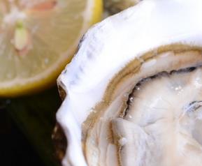 生蚝的功效与作用（生蚝的功效与作用及营养）