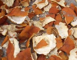 苍术的功效和作用（麸炒苍术的功效和作用）