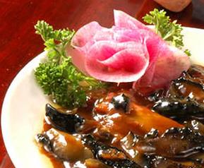 海参的家常做法 海参的家常做法大全