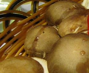 冬菇是什么(冬菇是什么调料)