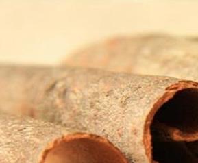 肉桂的功效与作用及禁忌（中药肉桂的功效与作用及禁忌）