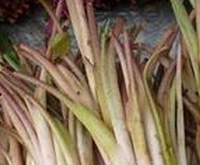 芋头杆的功效与作用（芋头杆的功效与作用及禁忌）