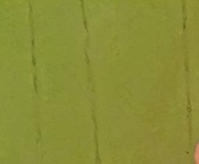 鸡胸肉怎么做好吃（鸡胸肉怎么做好吃 教你4种不错的方法）