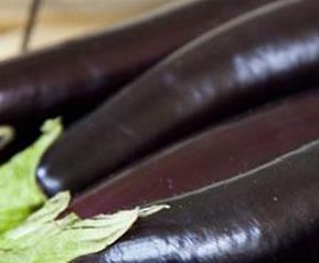 茄子的药用价值（茄子的药用价值?可以多吃吗?）