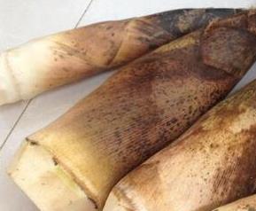 春笋是发物吗 春笋是发物吗哪些人不宜吃