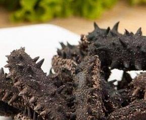 吃海参的好处与坏处（吃海参的好处与坏处是什么）