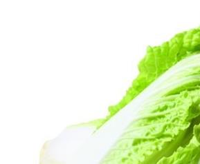 白菜的药用价值 白菜的药用价值是什么