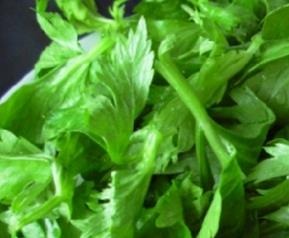 芹菜叶子怎么腌（芹菜叶子怎么腌制好吃简单）