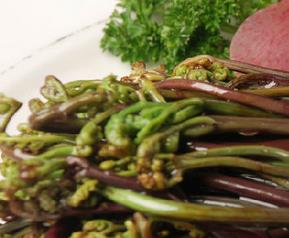 蕨菜的营养价值与功效 蕨菜的食用价值